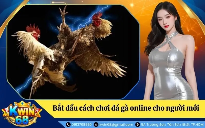 Đá gà online