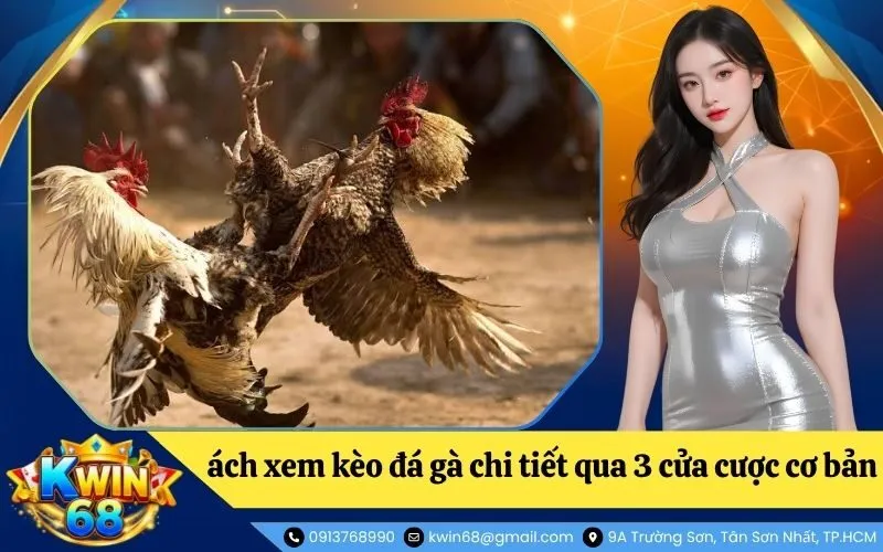 Hướng dẫn cách xem kèo đá gà chi tiết qua 3 cửa cược cơ bản
