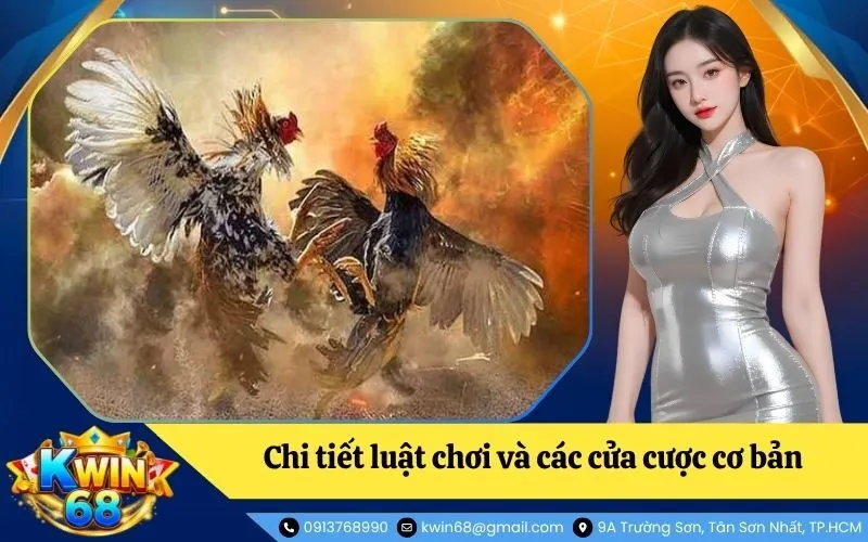 Hướng dẫn chi tiết luật chơi và các cửa cược cơ bản trên bàn vị