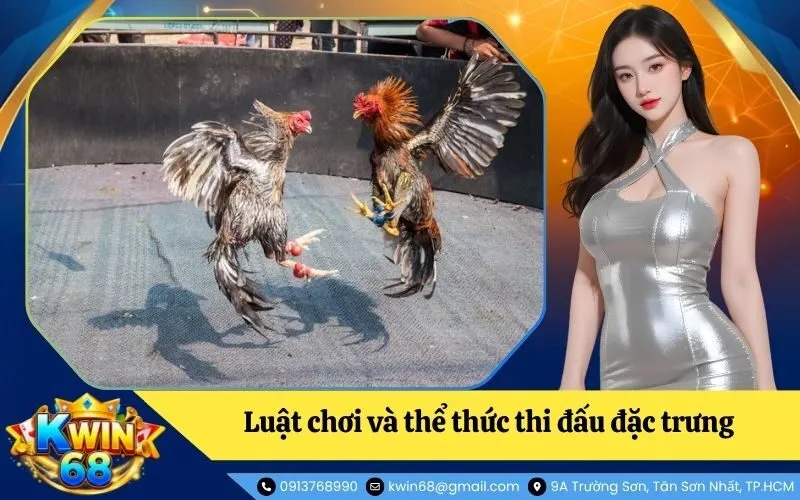Luật chơi và thể thức thi đấu đặc trưng tại các bồ gà