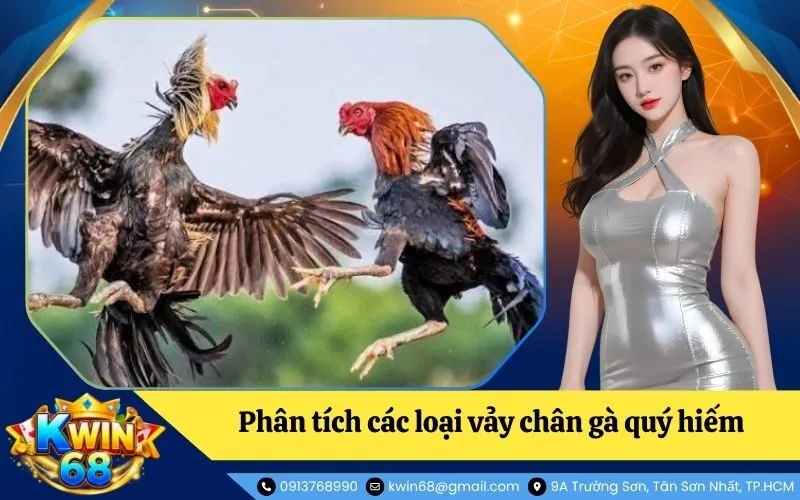 Phân tích các loại vảy chân gà quý hiếm (Linh Kê)