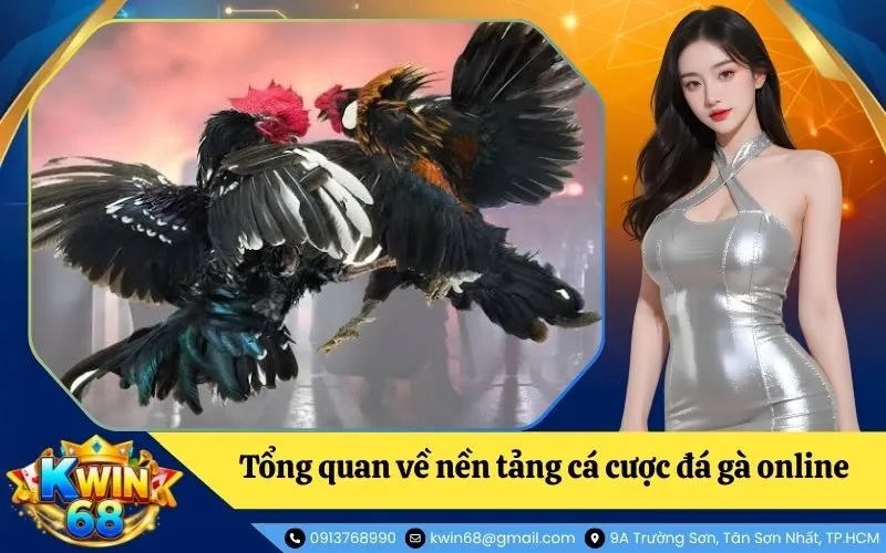 Tổng quan về nền tảng cá cược đá gà online và các hình thức thi đấu